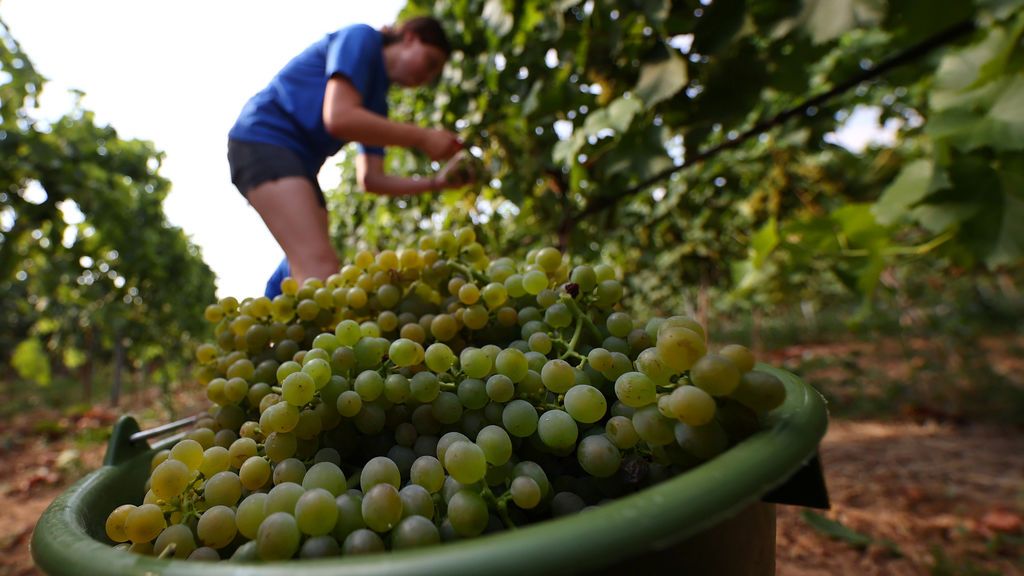 Estados Unidos mantiene los aranceles sobre los productos procedentes de la Unión Europea Estados Unidos mantiene los aranceles sobre los productos procedentes de la Unión Europea