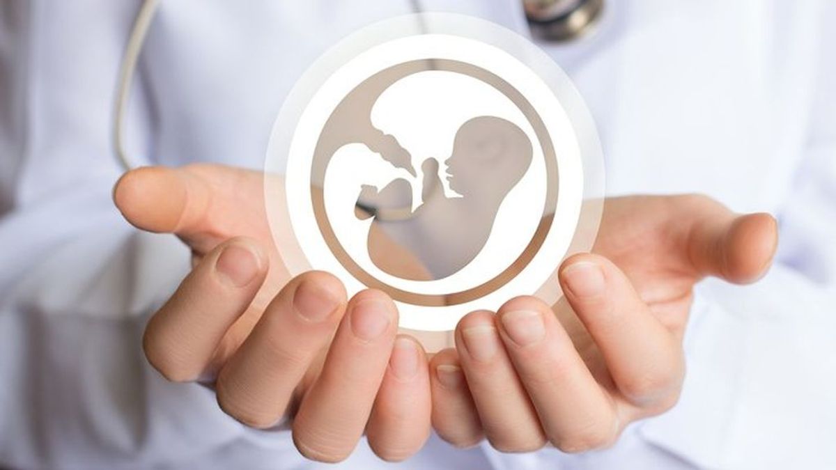 ¿Qué son los embriones no transferidos y qué pasa con ellos?