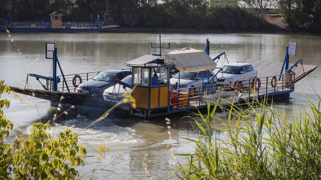 Comienzan los trabajos de fumigación contra los mosquitos del virus del Nilo en la marisma del Guadalquivir Comienzan los trabajos de fumigación contra los mosquitos del virus del Nilo en la marisma del Guadalquivir