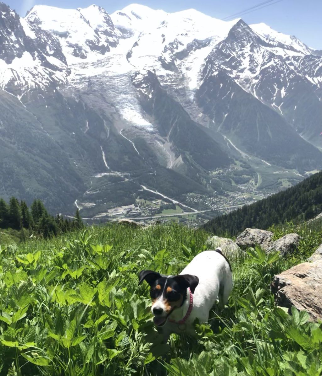 Rumba -  Bodeguera ratonera andaluza