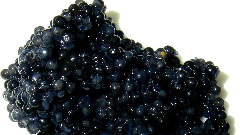 caviar Imagen de Lebensmittelfotos en Pixabay