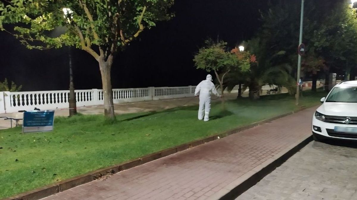Ascienden a 31 los sospechosos en Sevilla de tener fiebre del Nilo, con 25 hospitalizados, nueve de ellos en UCI Ascienden a 31 los sospechosos en Sevilla de tener fiebre del Nilo, con 25 hospitalizados, nueve de ellos en UCI