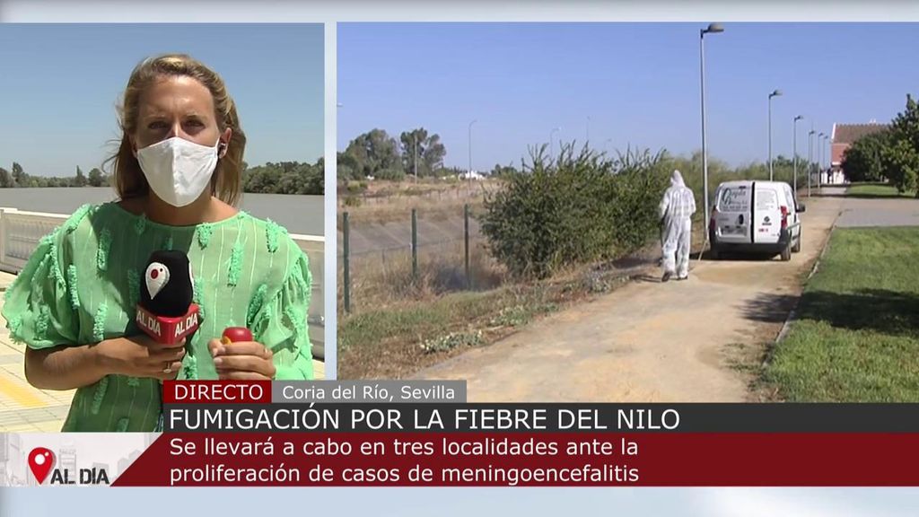 Alerta por la fiebre del Nilo: pueblos de Sevilla fumigan sus calles ante los casos de meningoencefalitis