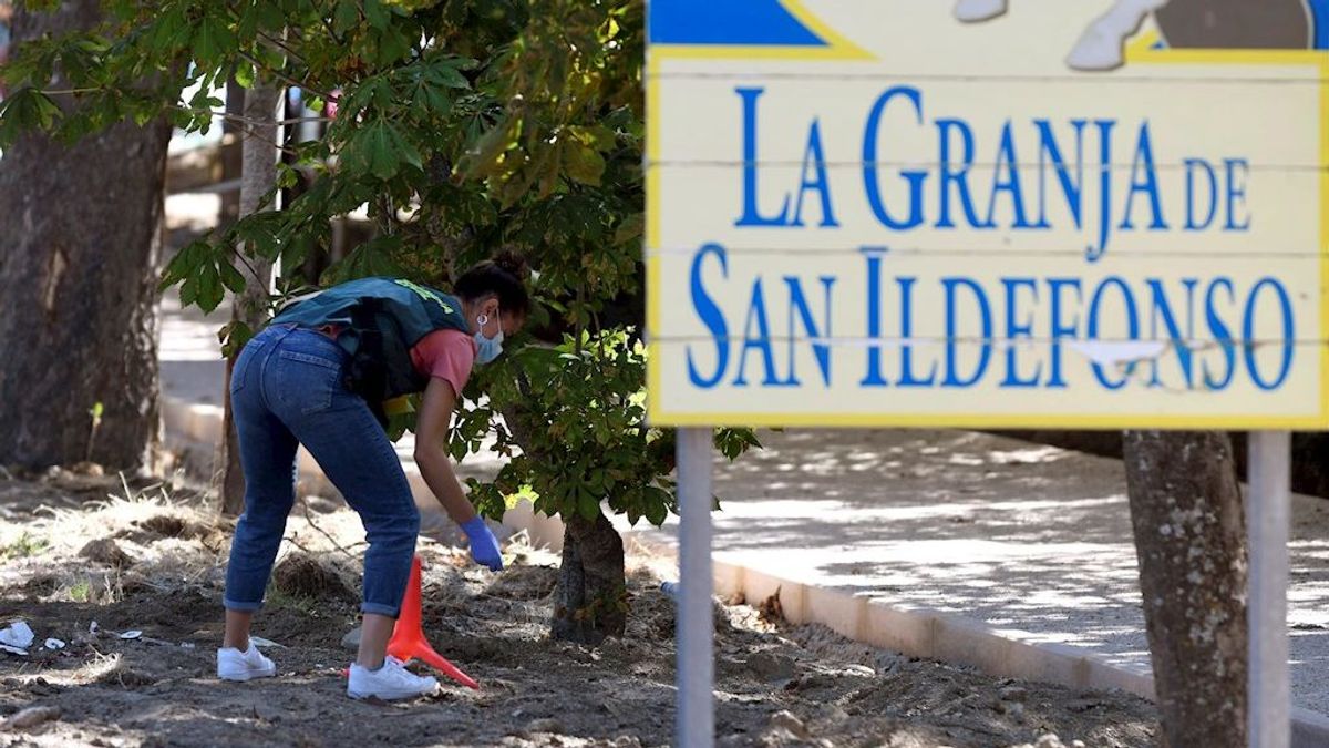 Muere en el hospital el hombre que mató a puñaladas a su expareja en Segovia Muere en el hospital el hombre que mató a puñaladas a su expareja en Segovia