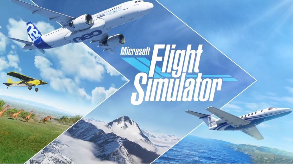 Microsoft Flight Simulator