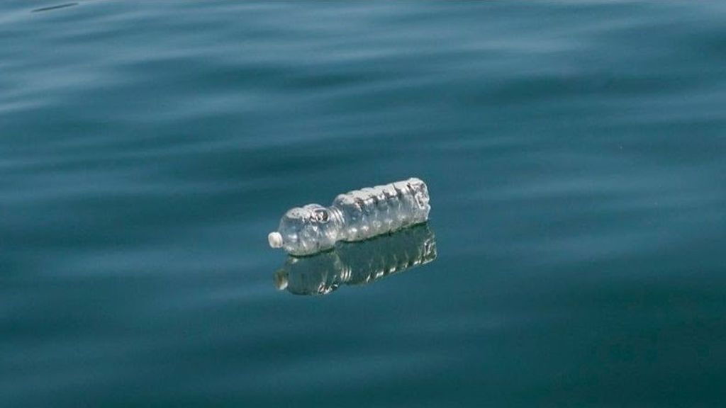 El plástico ya está en nuestros cuerpos El plástico ya está en nuestros cuerpos