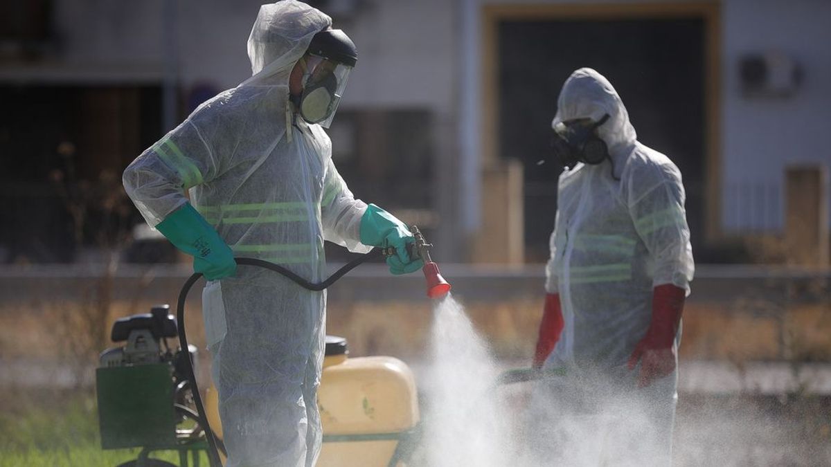 La fiebre del Nilo se mantiene estable en Sevilla sin ningún caso detectado en la última jornada La fiebre del Nilo se mantiene estable en Sevilla sin ningún caso detectado en la última jornada