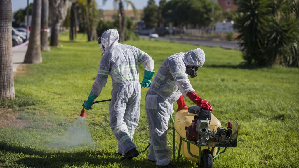 Ascienden a 26 los ingresados por fiebre del Nilo en Sevilla, ocho de ellos en UCI Ascienden a 26 los ingresados por fiebre del Nilo en Sevilla, ocho de ellos en UCI