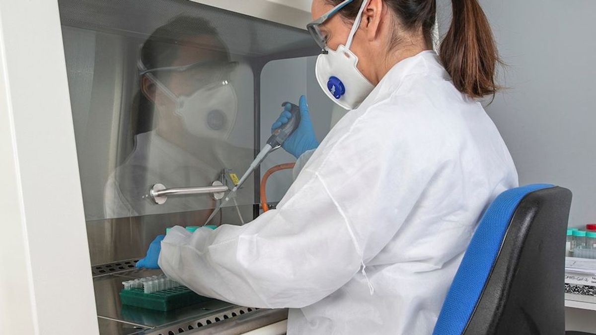 El virus de la gripe se puede propagar por el polvo: los investigadores se preguntan si será igual con el coronavirus El virus de la gripe se puede propagar por el polvo: los investigadores se preguntan si será igual con el coronavirus