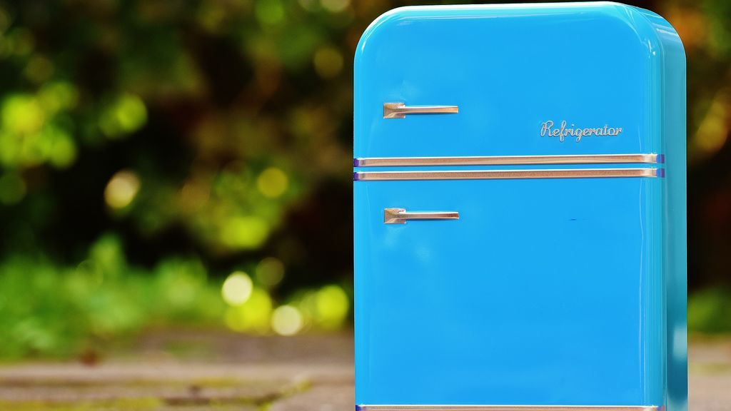 Como organizar los alimentos en la nevera para conservarlos más tiempo en buen estado.