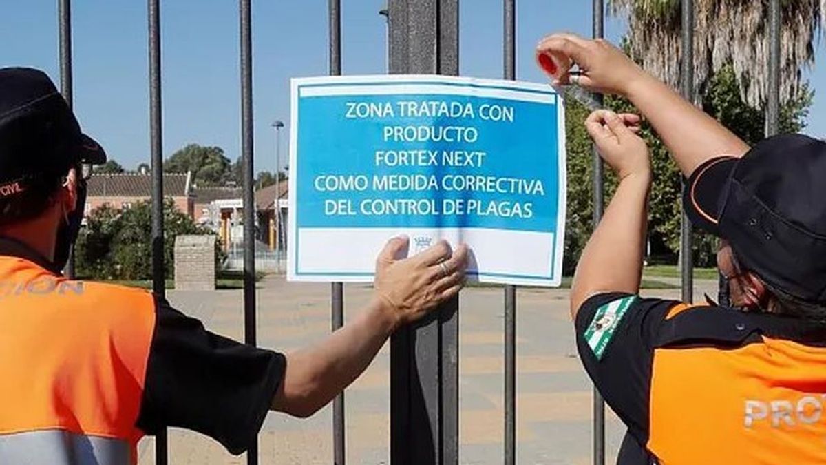 El brote del virus del Nilo en Sevilla sube a 35 casos sin plazo para controlarlo El brote del virus del Nilo en Sevilla sube a 35 casos sin plazo para controlarlo