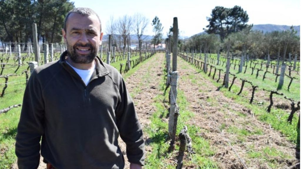 José Luis Mateo, el vino al compás del sonido de la piedra