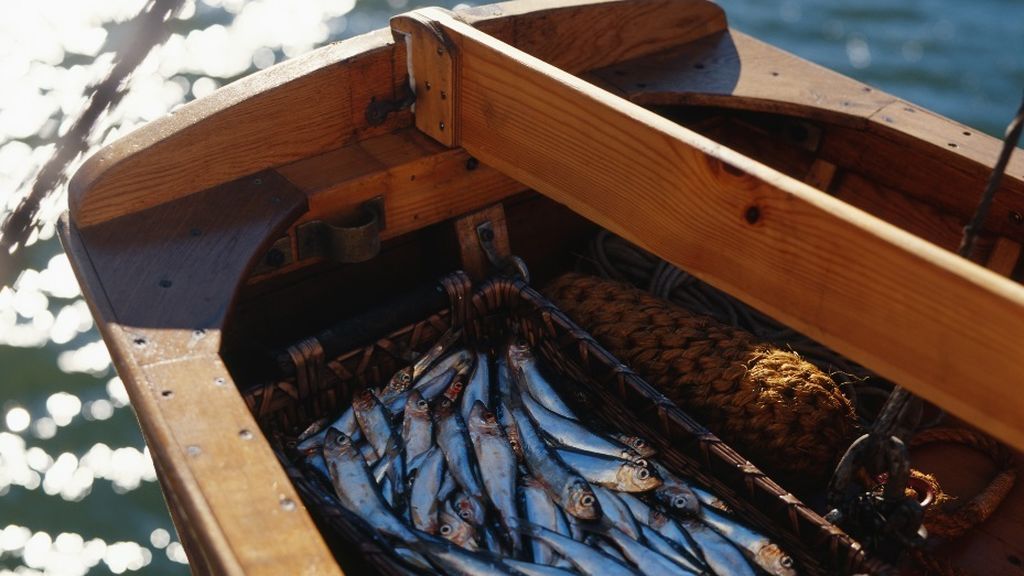 EuropaPress_3247756_boquerones