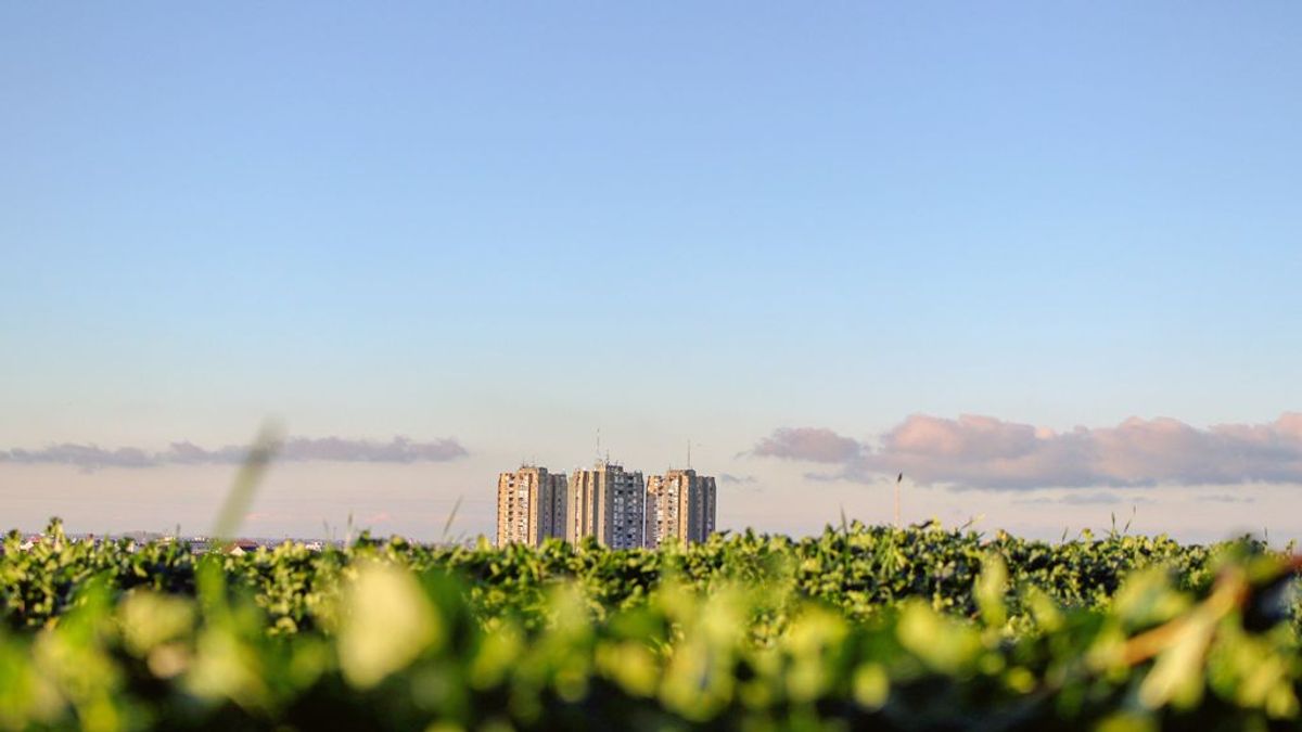 Ecología urbana: cómo reformular las ciudades para hacerlas más sostenibles