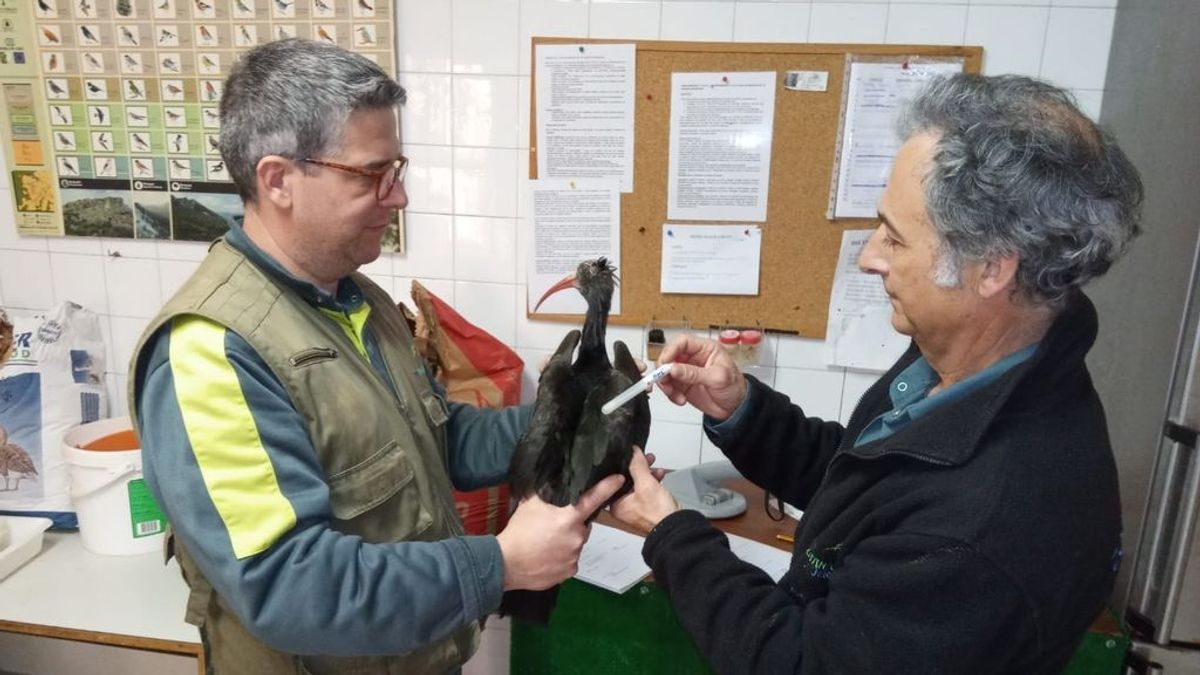 Cierran el Zoo de Jerez tras detectar el virus del Nilo en dos de sus aves Cierran el Zoo de Jerez tras detectar el virus del Nilo en dos de sus aves