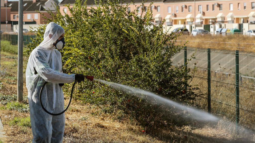 Aumentan a ocho las personas ingresadas en UCI por el virus del Nilo asociado a mosquitos en Sevilla