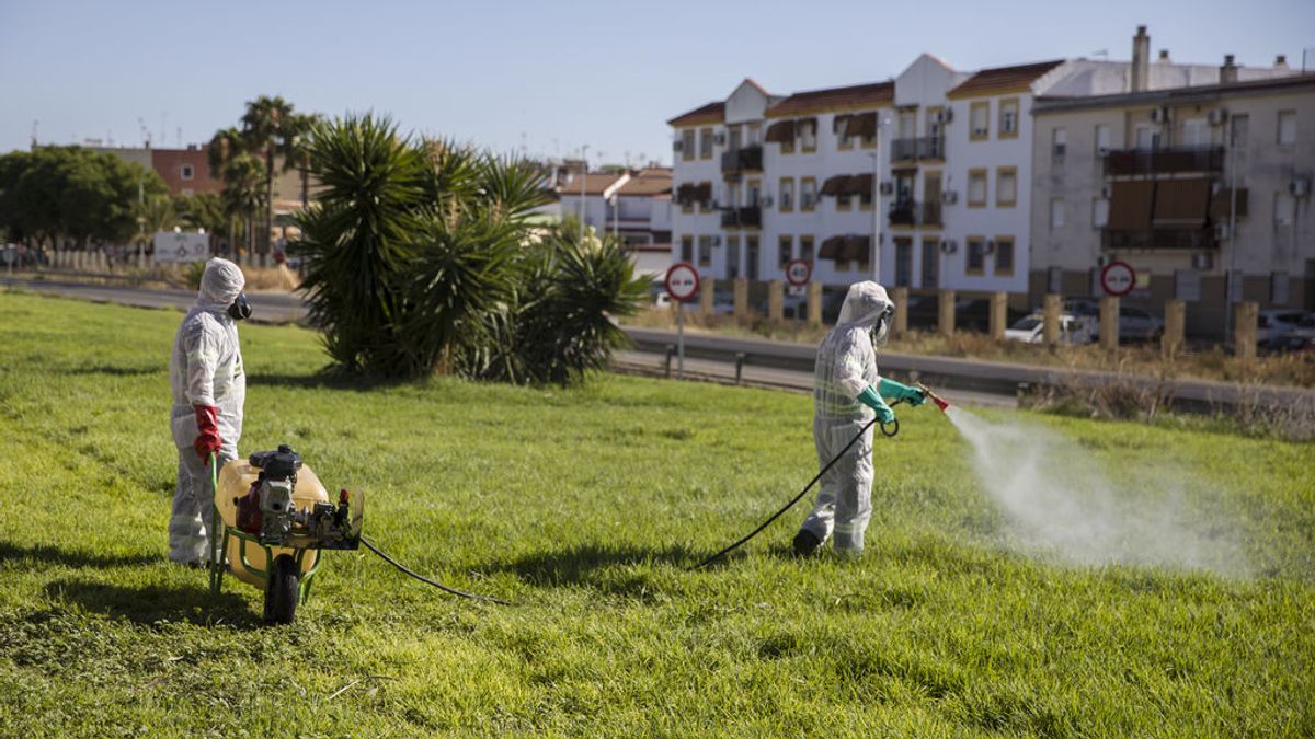 Ascienden a 39 los casos sospechosos de tener virus del Nilo, con 23 hospitalizados, ocho en UCI Ascienden a 39 los casos sospechosos de tener virus del Nilo, con 23 hospitalizados, ocho en UCI
