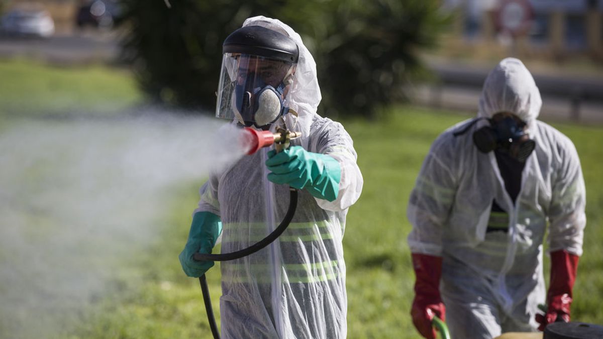 El virus del Nilo se expande: Primer caso confirmado en la otra orilla del Guadalquivir El virus del Nilo se expande: Primer caso confirmado en la otra orilla del Guadalquivir