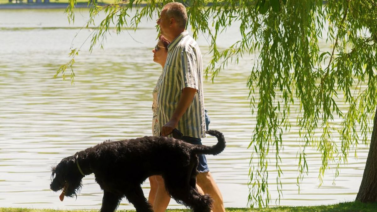 Alemania obligará a pasear a los perros dos veces al día a partir de 2021