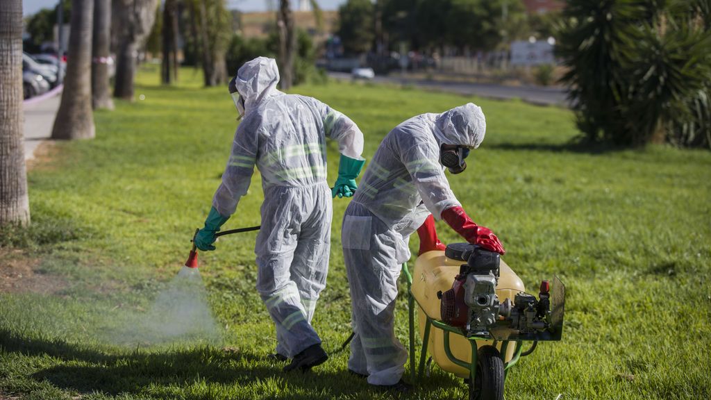 El virus de la Fiebre del Nilo alcanza Sevilla Este: aumentan a 45 los casos, con 20 pacientes ingresados El virus de la Fiebre del Nilo alcanza Sevilla Este: aumentan a 45 los casos, con 20 pacientes ingresados
