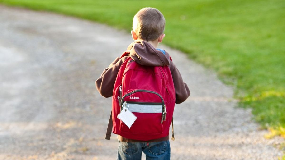 Así está siendo la vuelta al cole en el mundo: los modelos que pueden inspirar a España Así está siendo la vuelta al cole en el mundo: los modelos que pueden inspirar a España