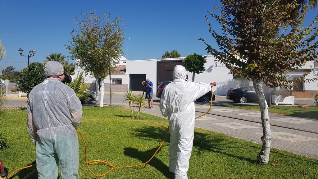 Bajan de 45 a 34 los afectados de virus del Nilo y también los ingresados Bajan de 45 a 34 los afectados de virus del Nilo y también los ingresados