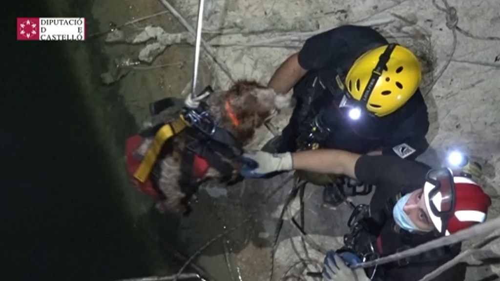 Rescatan un perro atrapado en un embalse en Castellón