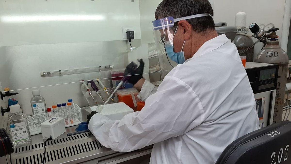 Las mujeres, más inmunes ante el coronavirus que los hombres según un estudio Las mujeres, más inmunes ante el coronavirus que los hombres según un estudio