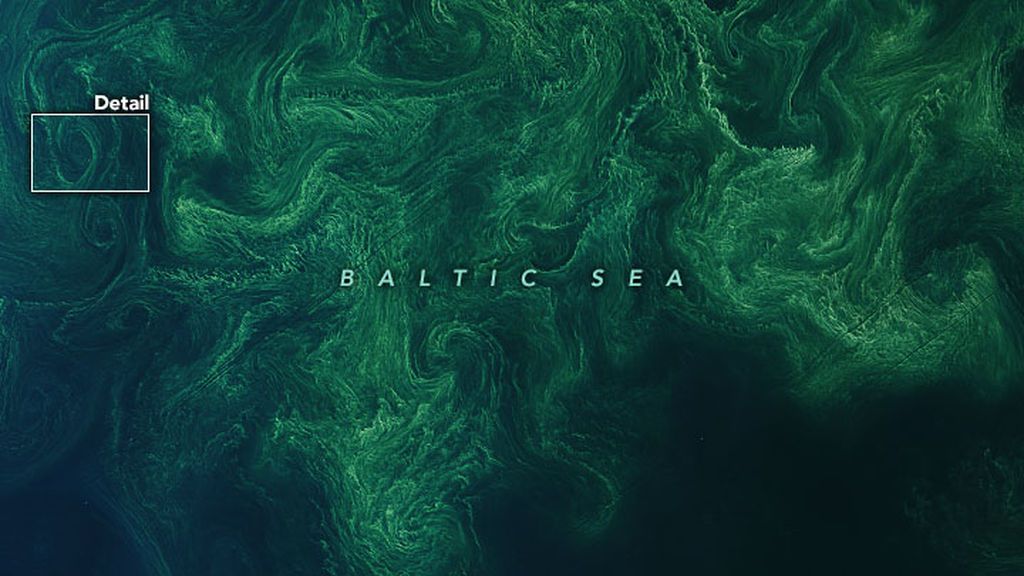 baltic_oli_2020228