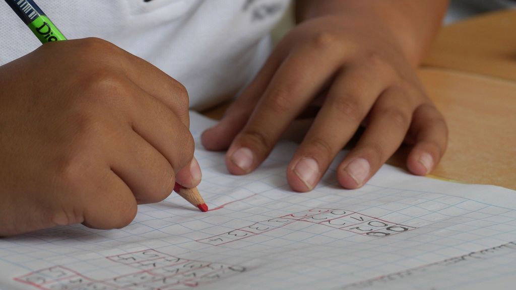 "¿Cómo conciliamos si no hay cole?": relatos familiares ante un inicio escolar incierto "¿Cómo conciliamos si no hay cole?": relatos familiares ante un inicio escolar incierto