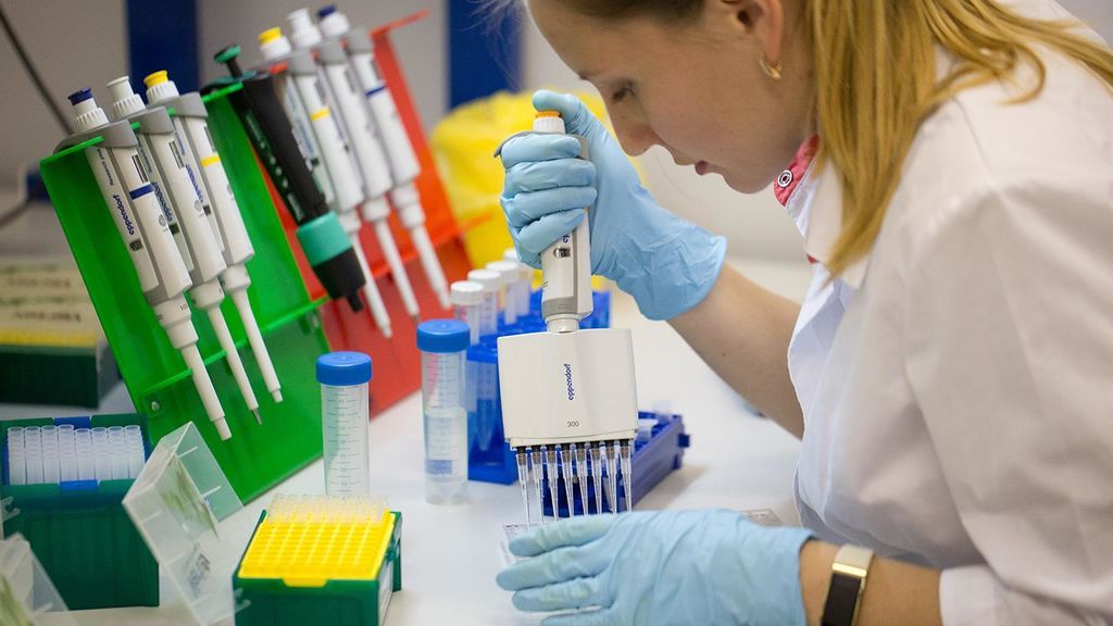Un medicamento antiviral utilizado en gatos podría ser la solución para la cura de la Covid-19 Un medicamento antiviral utilizado en gatos podría ser la solución para la cura de la Covid-19