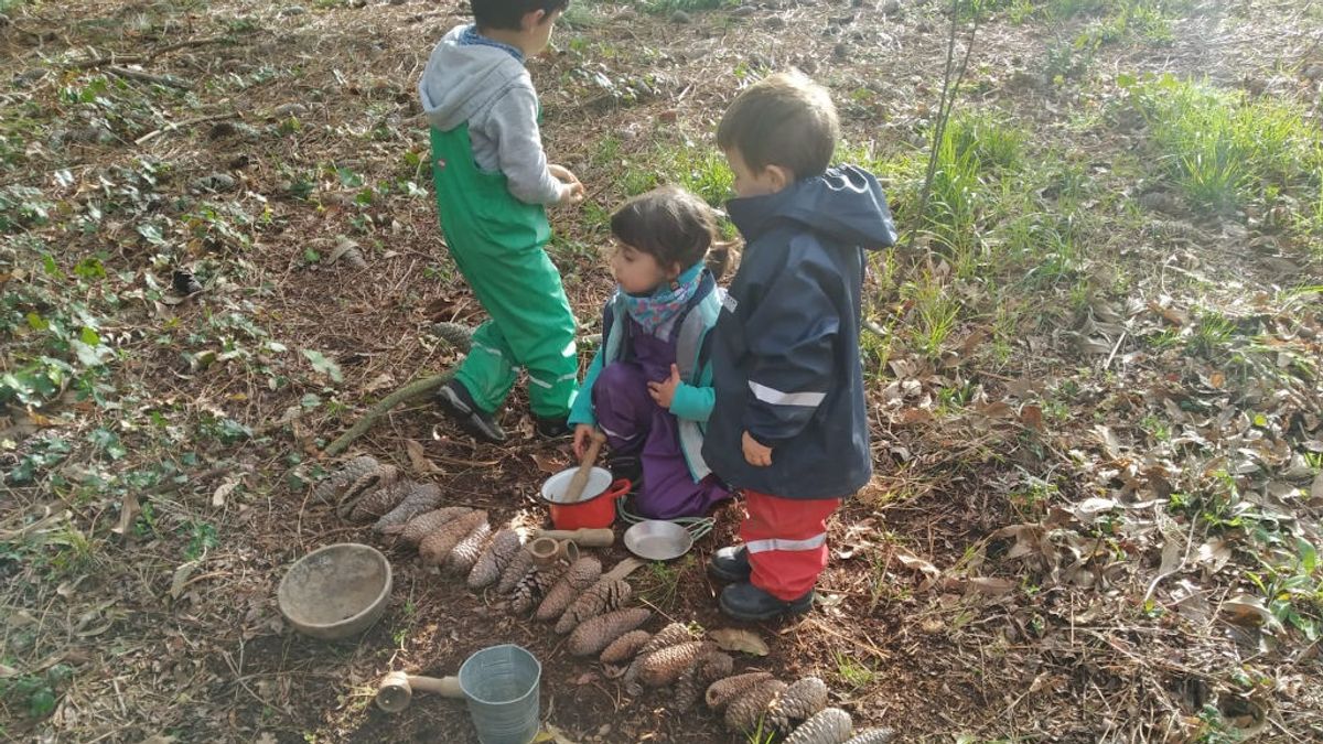 Escuelas en la naturaleza: una opción para una vuelta al cole más segura Escuelas en la naturaleza: una opción para una vuelta al cole más segura