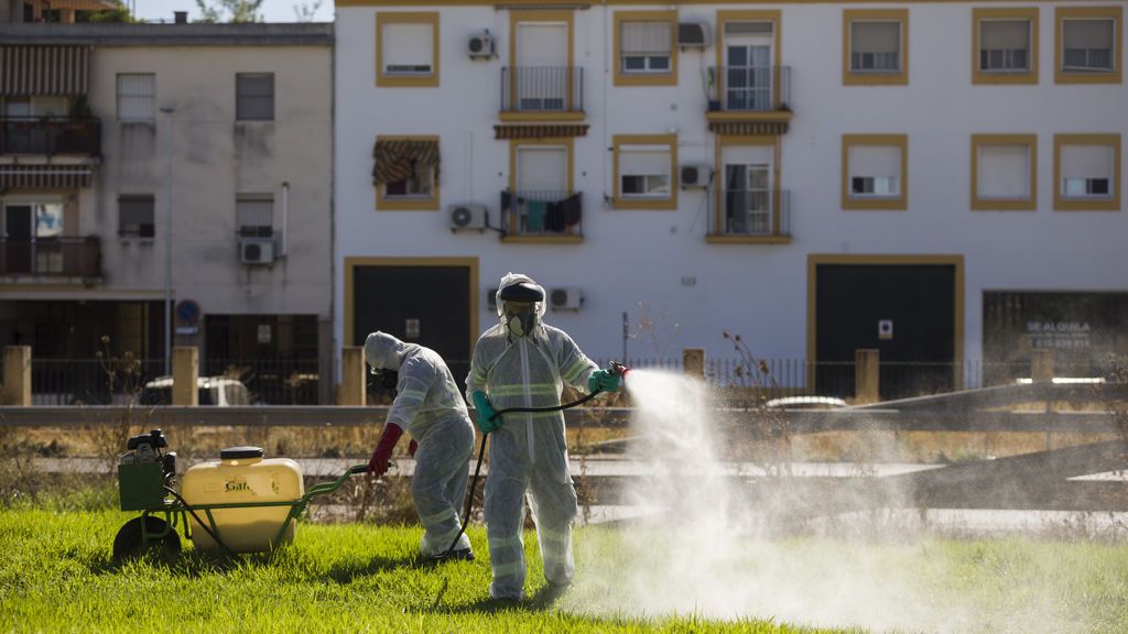Suben a 49 los afectados por el virus del Nilo en Sevilla Suben a 49 los afectados por el virus del Nilo en Sevilla
