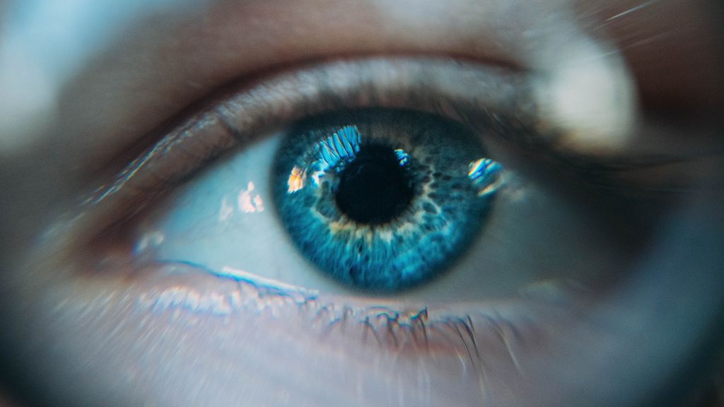 daniil-kuzelev-QRawWgV6gmo-unsplash