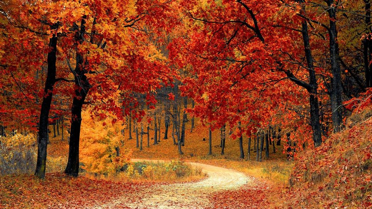 Septiembre es el mes que da la bienvenida al otoño. Septiembre es el mes que da la bienvenida al otoño.