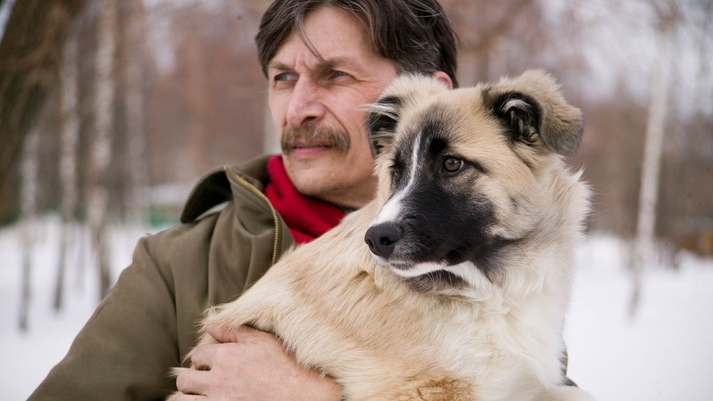 Otoño, época de muda de los perros: consejos para que tu casa no se llene de pelos