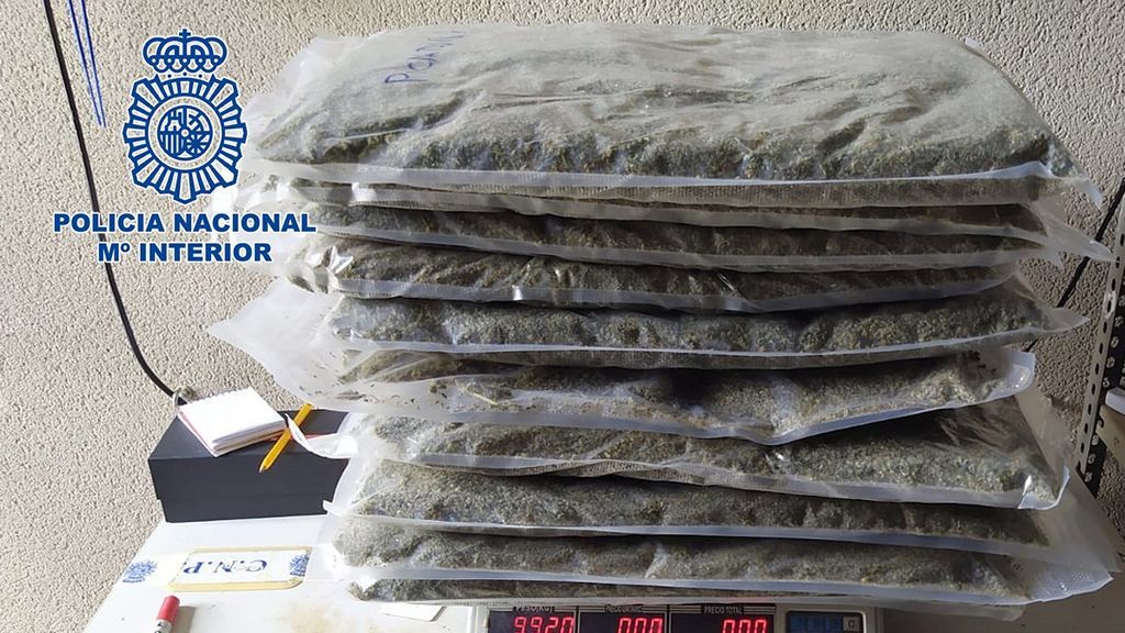 Marihuana lista para su comercialización