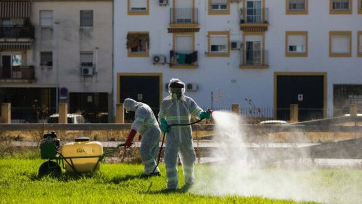 Los afectados por el virus del Nilo en Sevilla superan ya el medio centenar de personas Los afectados por el virus del Nilo en Sevilla superan ya el medio centenar de personas