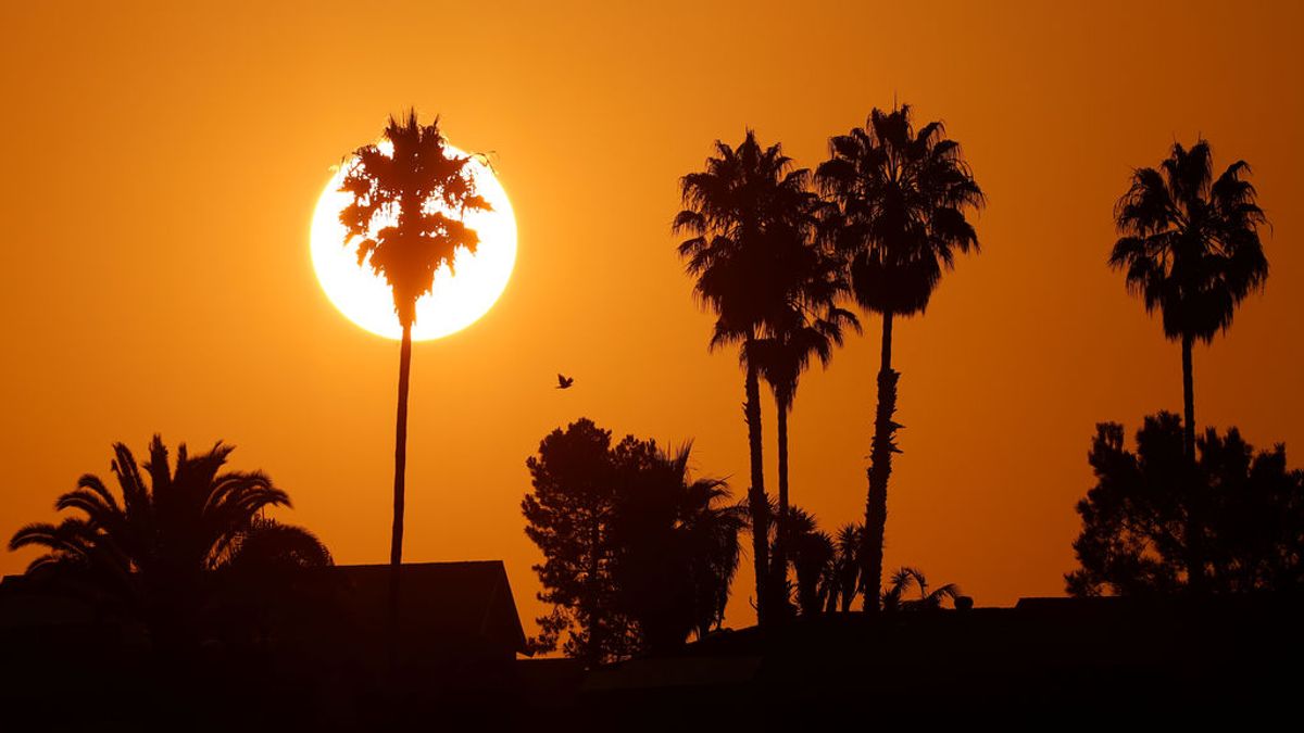 Agosto de 2020 ha sido el cuarto más caluroso registrado en la Tierra
