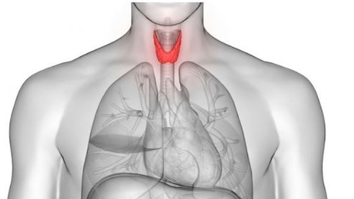La inflamación de la tiroides y la ansiedad podrían estar vinculada