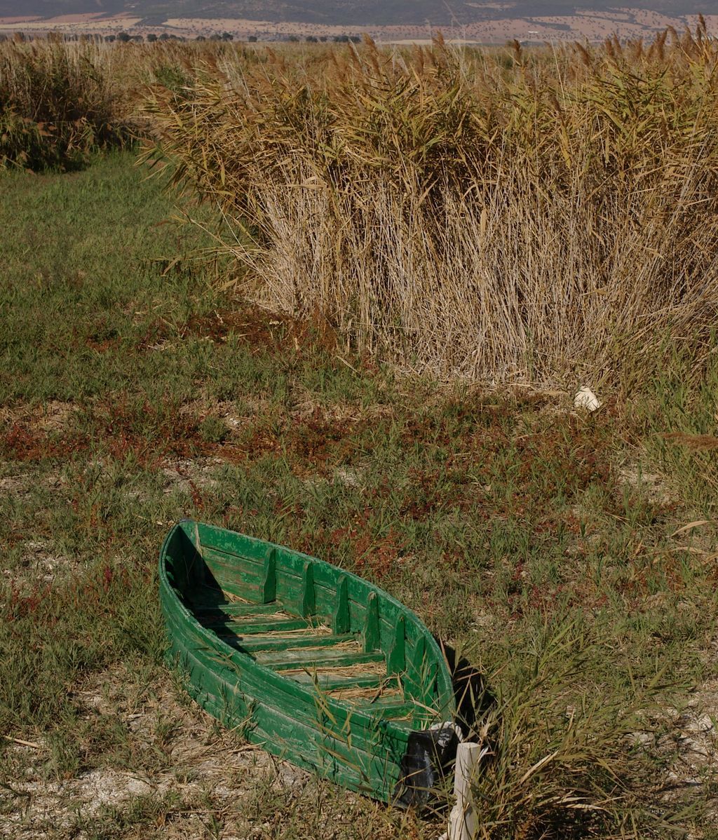MF_TablasDaimiel_031
