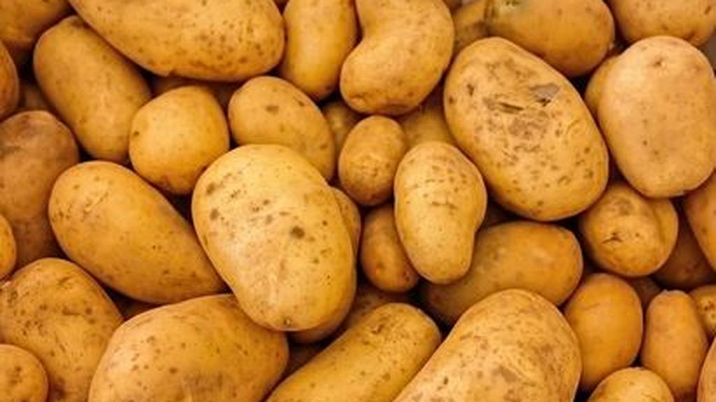 Alertan del peligro para la salud de consumir patatas con brotes: los bebés y los niños, los más perjudicados