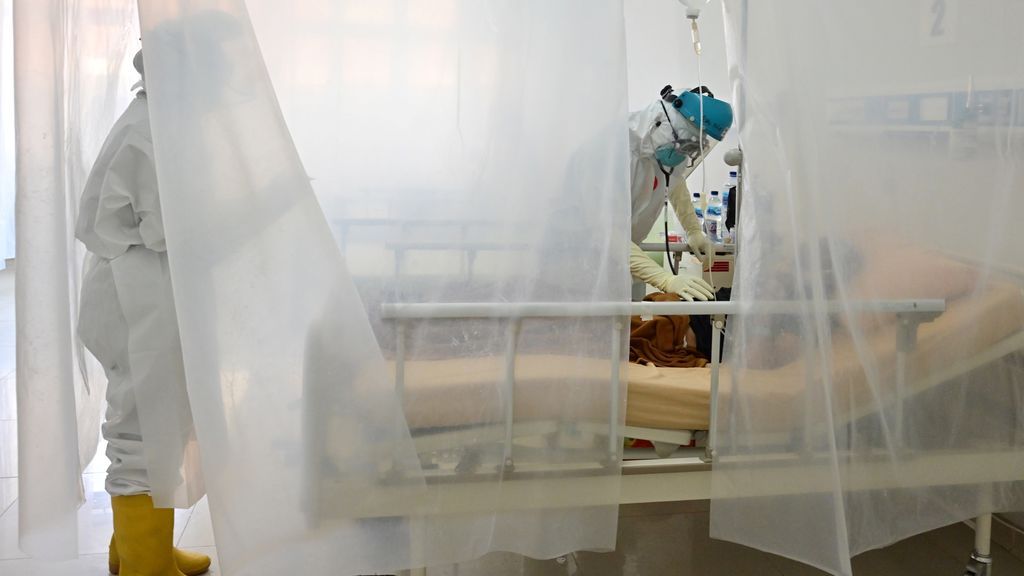 Un ensayo muestra cómo el coronavirus destroza las células del corazón: "Nunca habíamos visto algo así" Un ensayo muestra cómo el coronavirus destroza las células del corazón: "Nunca habíamos visto algo así"