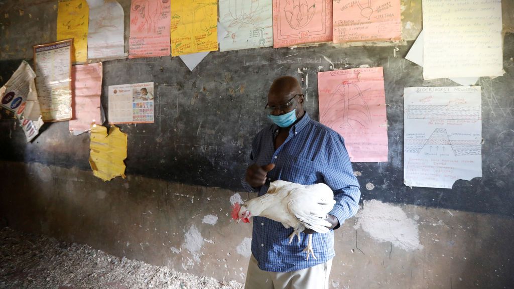 James Kung'u, director una una escuela keniata convertida en criadero de pollos