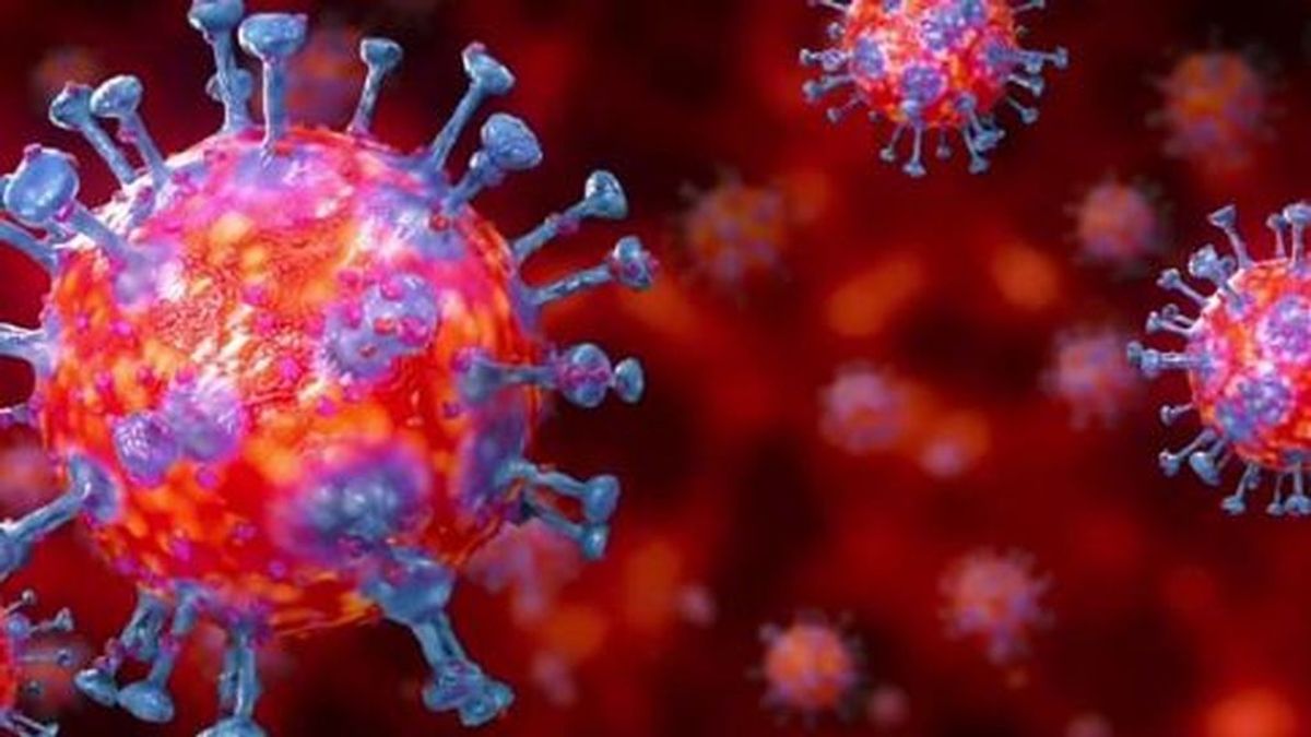 Coronavirus:  6 cosas que sabemos  tras seis meses de pandemia