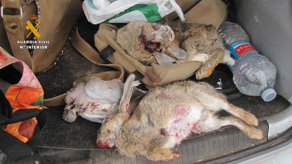 Interceptado en Calahorra un conductor drogado, armado y con animales vivos y muertos en el maletero Interceptado en Calahorra un conductor drogado, armado y con animales vivos y muertos en el maletero