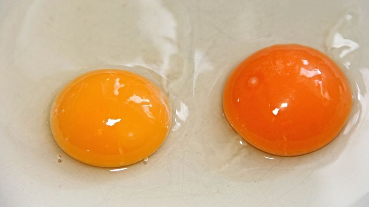 Las manchas rojas en la yema de un huevo: el motivo por el que no hay que desecharlo
