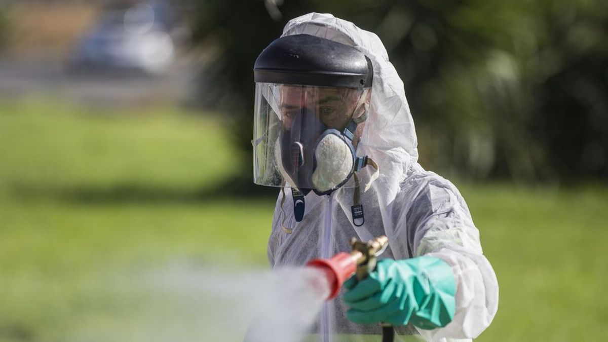 Nuevo caso de virus del Nilo en Alcalá de los Gazules, en Cádiz Nuevo caso de virus del Nilo en Alcalá de los Gazules, en Cádiz