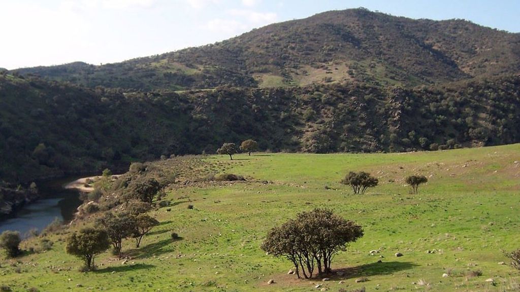 En la UCI un menor tras un disparo en la pierna de su padre en una cacería nocturna En la UCI un menor tras un disparo en la pierna de su padre en una cacería nocturna