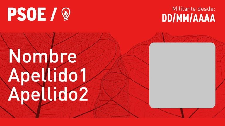 El Psoe Se Renueva Con Un Carnet Digital Para Su Militancia Nius 8707